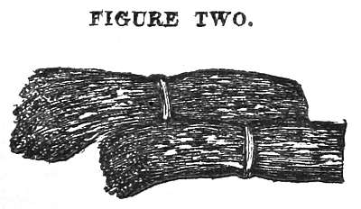 FIGURE TWO.