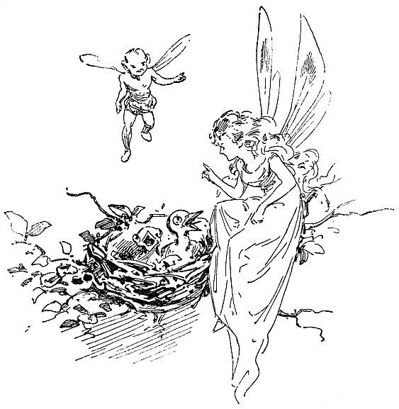 Fairies and baby birds