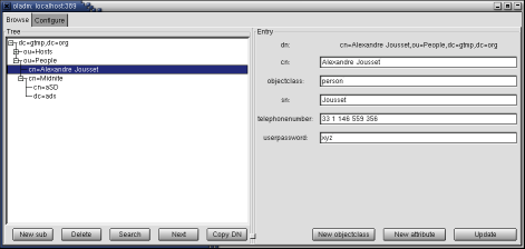 photo of LDAP browser part.