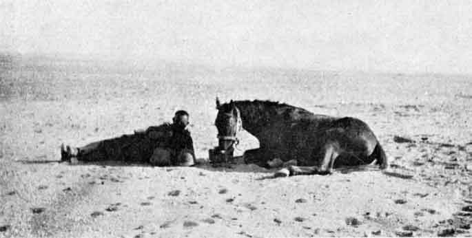 Man and Beast in the Desert: both absolutely spent