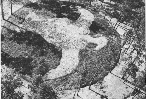 Restored eagle effigy of white quartz boulders near Eatonton, Ga. Length, 102 feet; width, 120 feet.