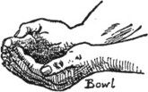 Bowl